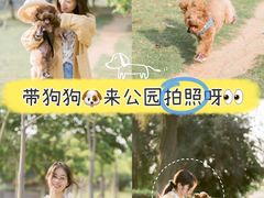 -五里桥文化公园-西侧停车场