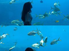 -瑞德姆美人鱼海底演艺主题餐厅(亚龙湾店)