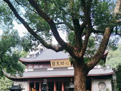 -岳王庙