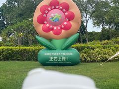 -宝安西湾红树林湿地公园