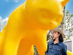 -深圳湾万象城(南山店)