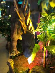 -恐龙探索乐园(磁器口店)