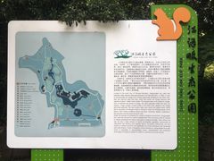 -西湖风景区-江洋畈生态公园