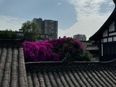 -星巴克臻选(成都宽窄巷子店)