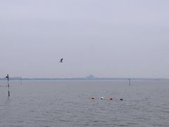 -七的湖·晚芳亭·阳澄湖农家菜·大闸蟹(莲花岛店)