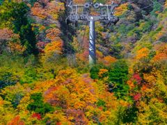 -光雾山旅游景区