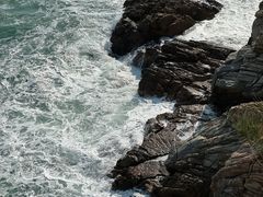-广东惠东海龟国家级自然保护区