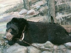 -北京动物园-畅观楼