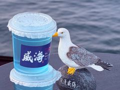 -悦海公园