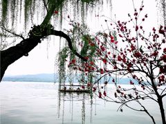 -西湖外事游船(花港观鱼码头)