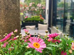 -大妙火锅·非物质文化遗产(东湖公园店)