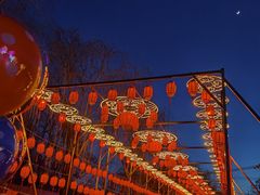 -青龙湖公园