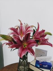 -妈妈时光机医疗产后修复(南山茂业百货店)