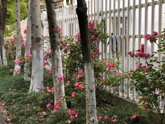 -杭州城北体育公园
