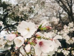 -玉山公园
