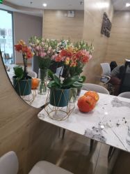 -酉嘉瑜伽YO+YOGA