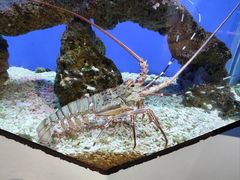 -海合安武汉极地海洋公园