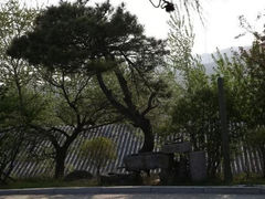 iphone_upload_pic-爱新觉罗皇家博物院