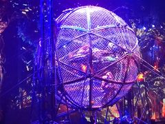 -广州长隆国际大马戏