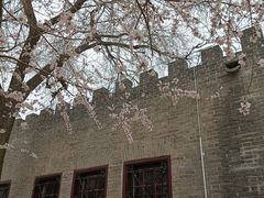 -桃花堤公园