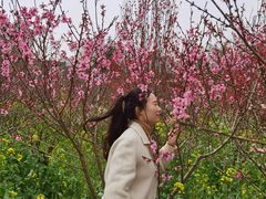 -南汇桃花村