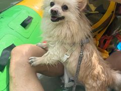 -仙人谷漂流景区