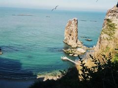 -海驴岛(荣成市)