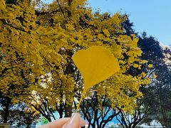 -元大都城垣遗址公园