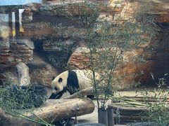 -石家庄市动物园