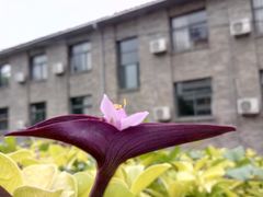 -福建师范大学(仓山校区)