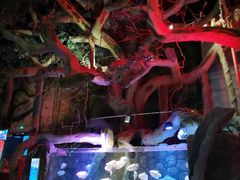 -多彩贵州城极地海洋世界