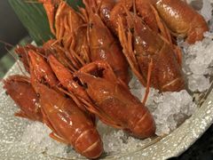 -菊上料理(蜀山银泰百货店)