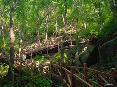 -大岭沟猕猴桃谷风景区