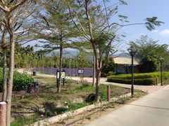 -亚龙湾国际玫瑰谷