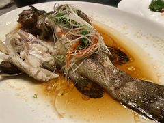 -上海金桥红枫万豪酒店-万豪中餐厅
