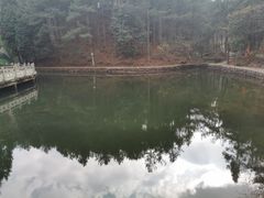 -四明山国家森林公园