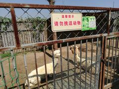 -河北村民俗体验园