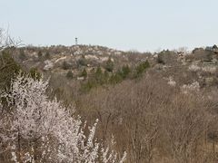 -白水寺森林公园