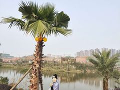 -枫香湖儿童公园