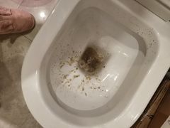 -皇朝海鲜酒店