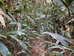 -东钱湖旅游度假区