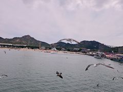 -海驴岛(荣成市)