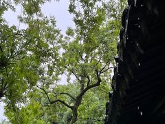 -拙政园