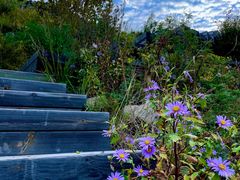 -白草畔自然风景区