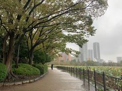 -伊豆荣(不忍亭店)