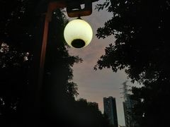 -重庆彩云湖湿地公园