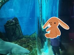 -哈尔滨波塞冬海底世界