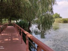 -贡湖湾湿地公园