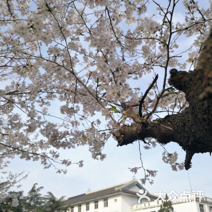 武汉大学樱园-学生3宿舍