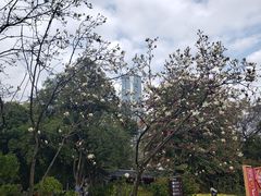 -柳侯公园